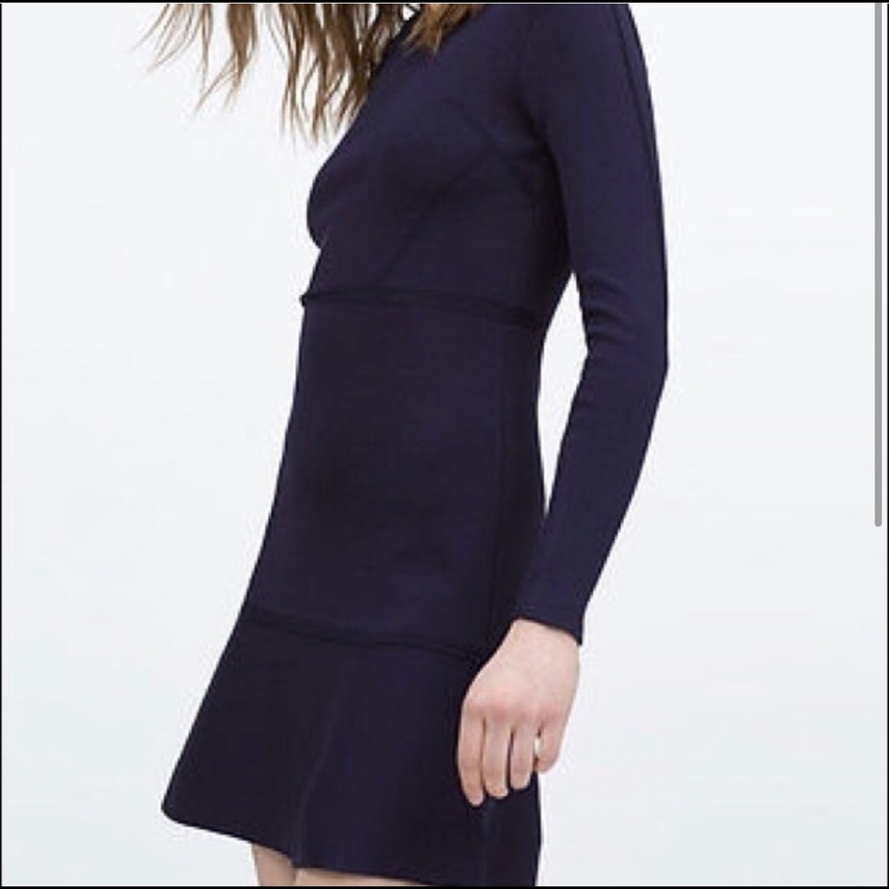 Zara Navy Blue Knit Dress
